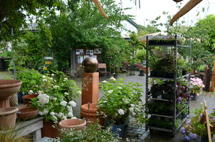 Foto: Roland Naundorf